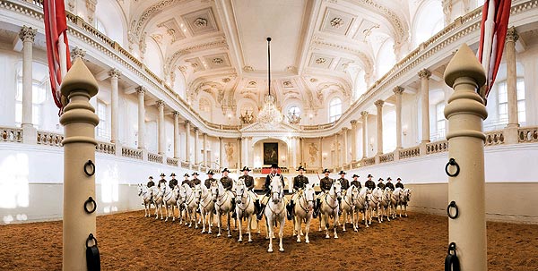 Spanish Riding School Lipizzaner Horses